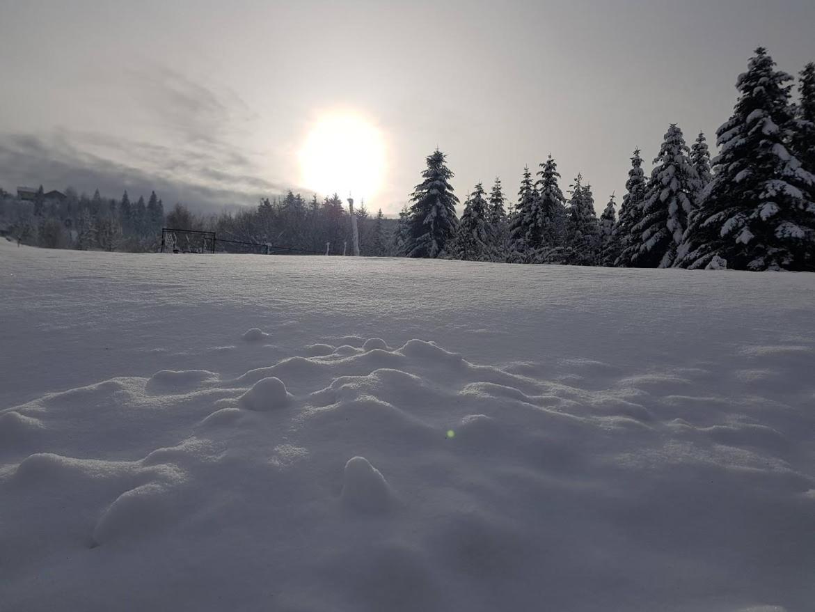 Agroturystyka Koronkowe Zacisze Конякув Экстерьер фото